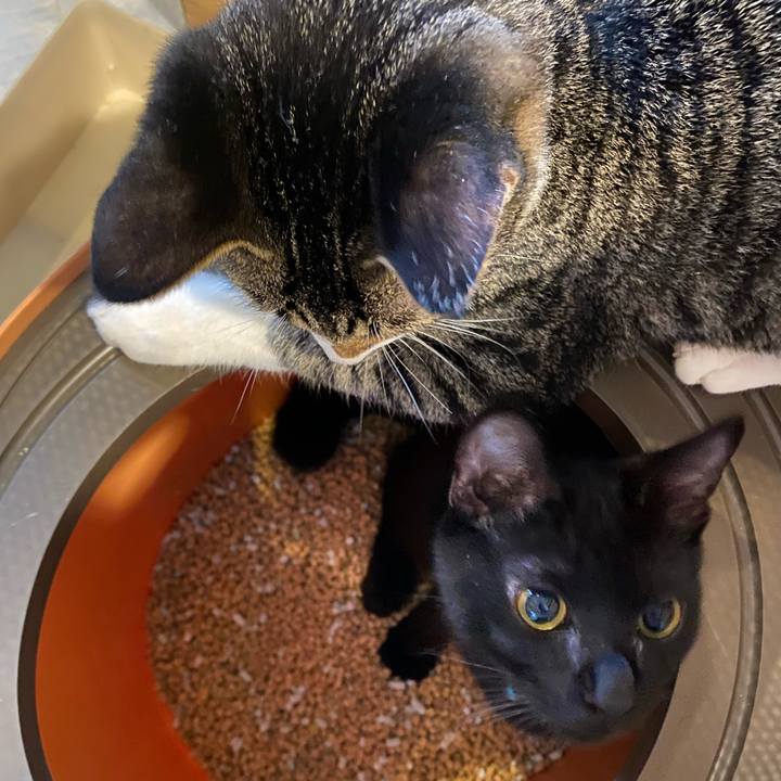 51b6dbca 1f93 4367 baad 1072821bbe85 1634114435708