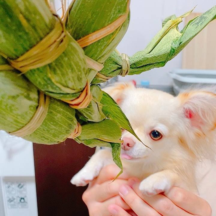 51b6e16c 61fc 42e7 8f49 0eae58a290ba 1627648365443