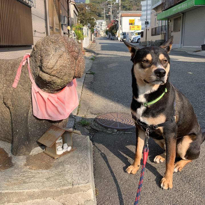 51b6eaef d6f7 4396 af6e 64da85025b4f 1551487837661