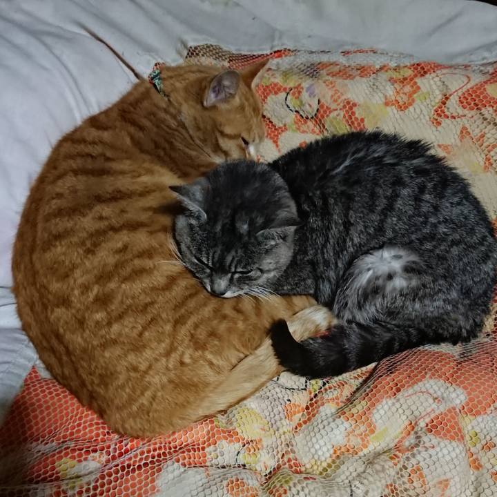 51b6fed0 6143 43be a10b 61f992d3e4a6 1581248814419