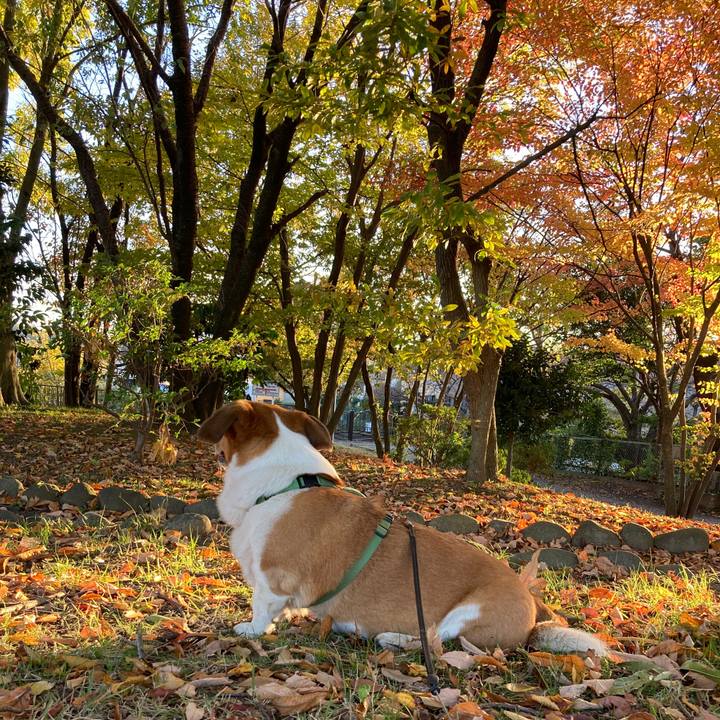 51b712f7 9582 4826 9136 1876365dc92a 1763381066888