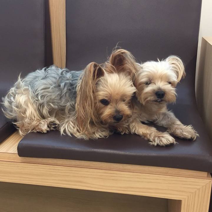 51b7581c eeb4 4255 900f 3ae0085d8396 1535544515907