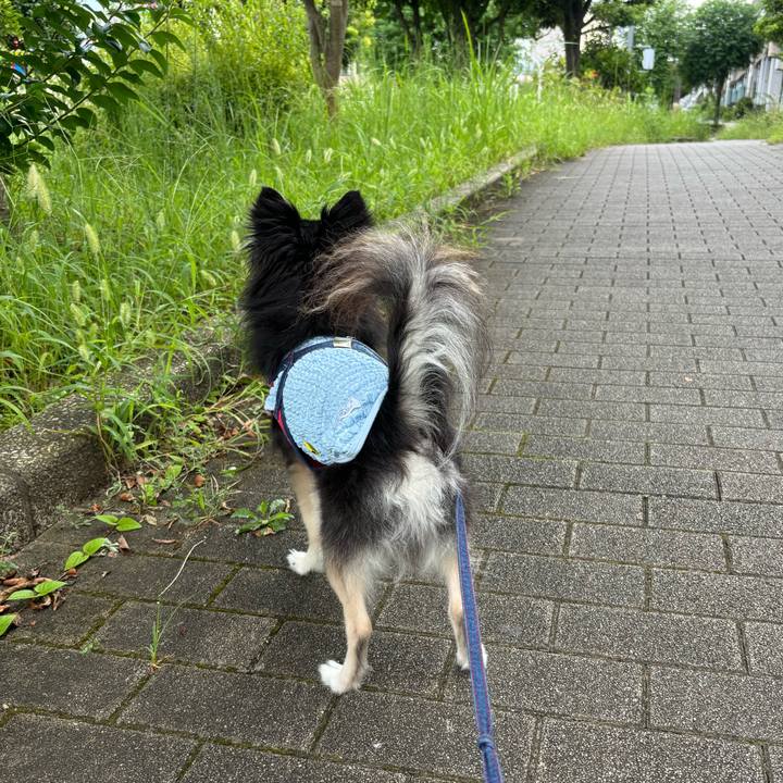 51b75f3e abbd 4cca 835f 4b3a135d6952 1724513773167