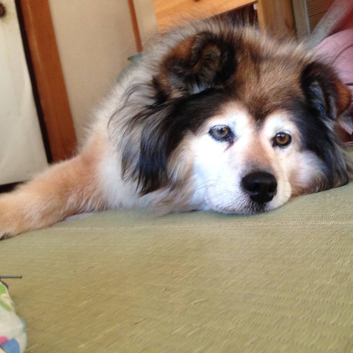 51b7736f b928 409c 9df0 08f054d7c577 1548371255134