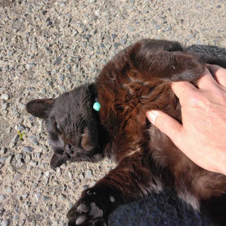 51b78876 9c8f 4f4a ba18 7c1637b4854c 1712725547802