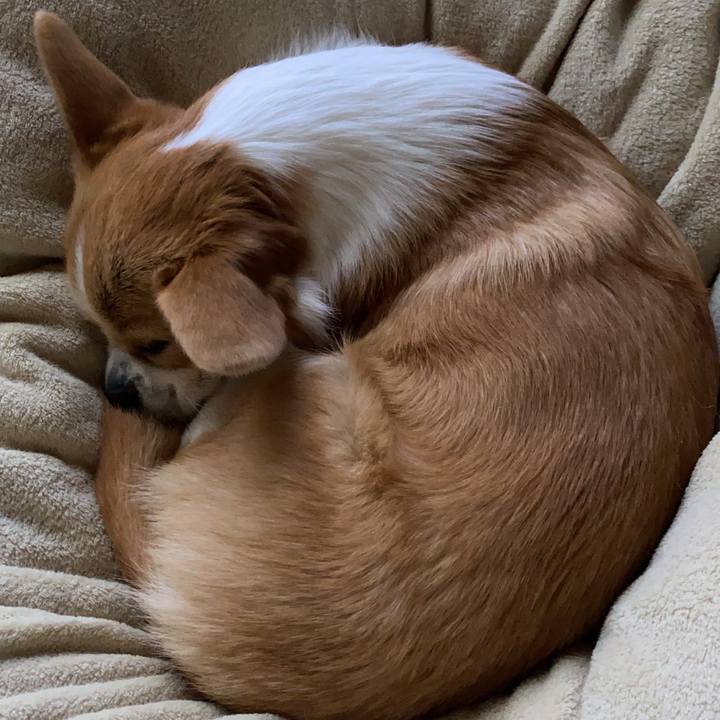 51b7a98c 7b7d 4d2d 9ed9 8efe04d0f070 1607642683668