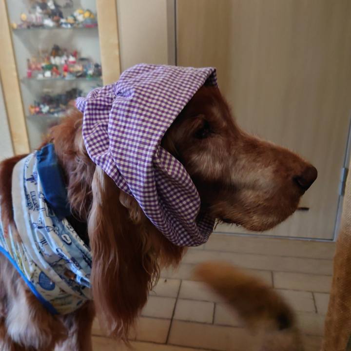 51b7b347 7684 4552 a126 630c3a03df10 1723349990665