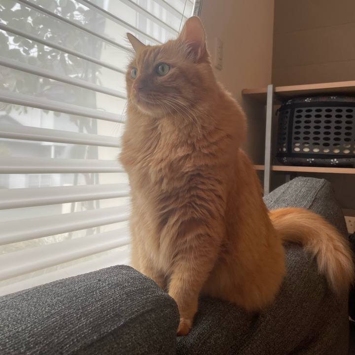 51b7e09e cce5 42fe 8c56 a177ac9bf121 1762245338194