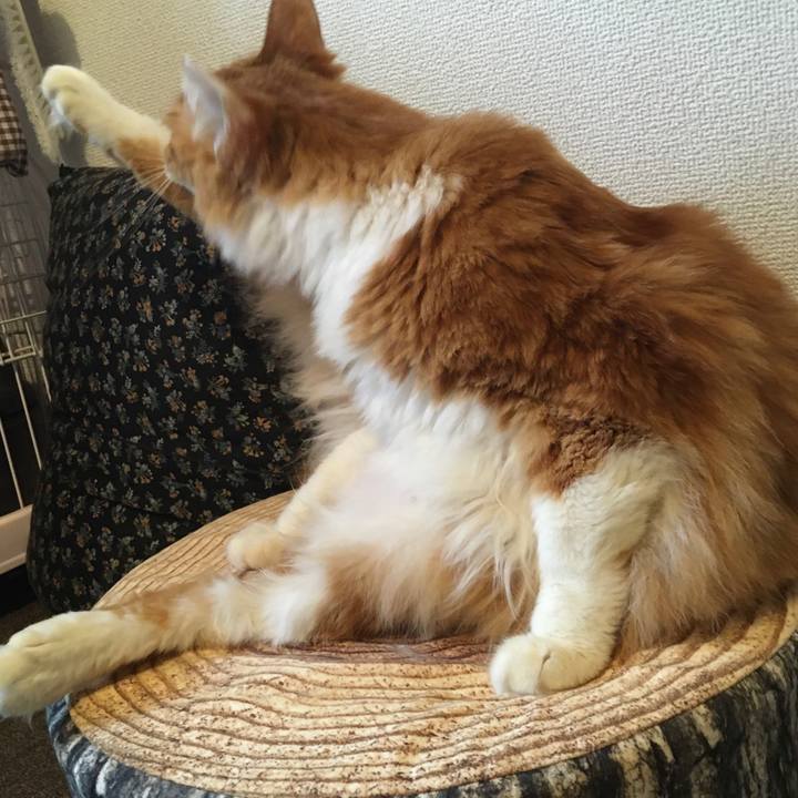 51b80b34 3fcd 4e72 b55f 610d8afee0df 1577022329297