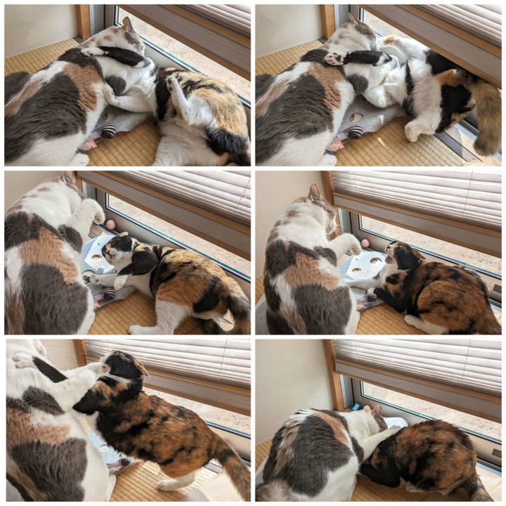 51b82283 3fe6 46e4 8027 fa959f33619e 1694670704849