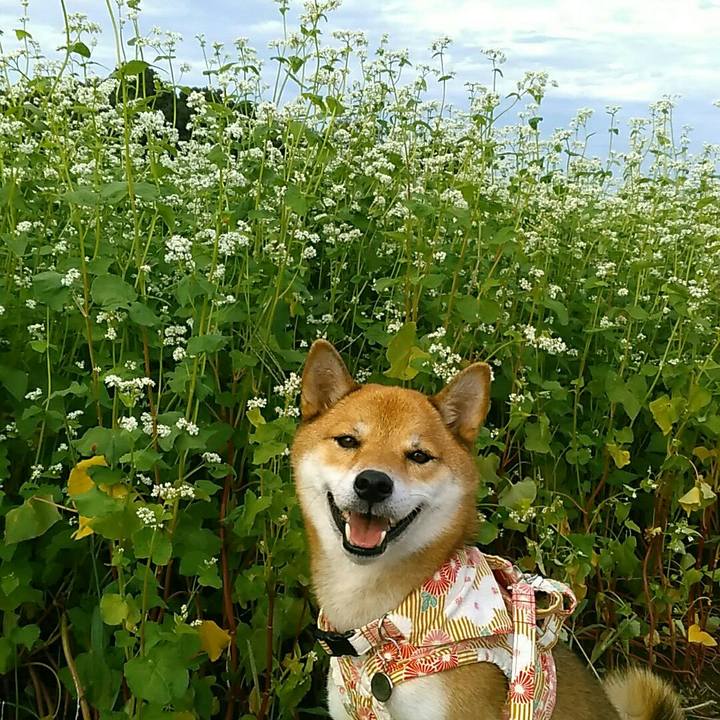 51b829b9 cc7c 431f 9c09 221b03239caf 1537602453233