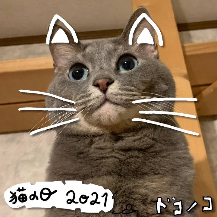51b856c2 539c 47b2 83a9 d128fb752756 1613992055317