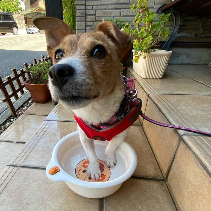 51b884ea 1526 4369 b5fb acc3a34b5f72 1589429261077