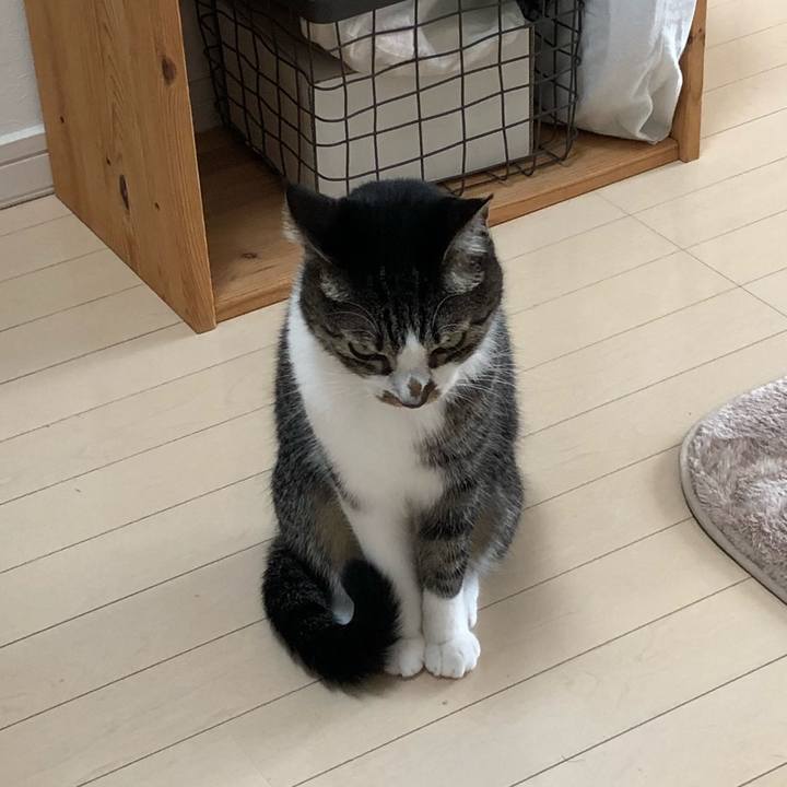 51b8c361 1dde 42bf 9f16 48ec100e750f 1537573072070