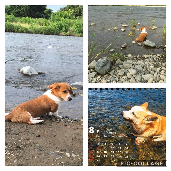 51b8e67a 0785 4c54 8ba0 2ad9f41267a7 1596749076012