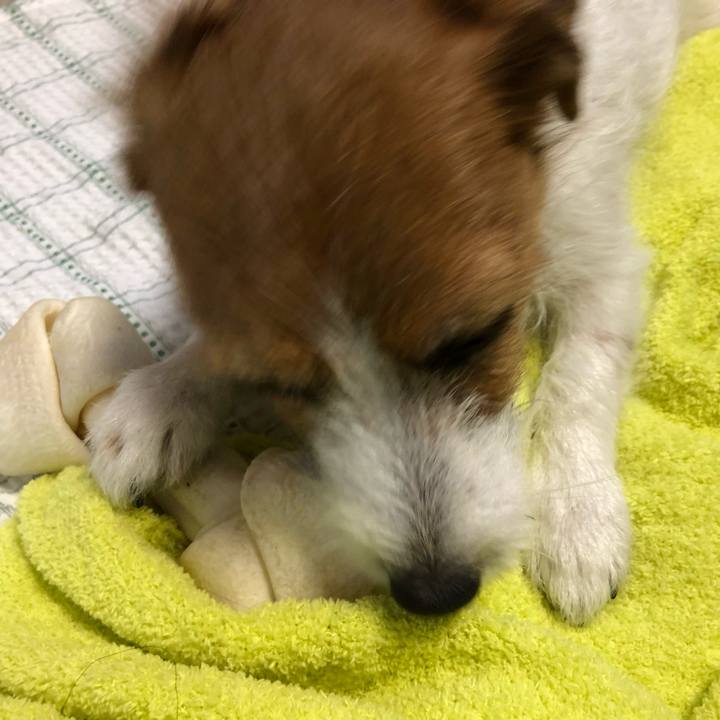 51b8f01b 8916 4d32 891c 9ab3d44a4bce 1546393069854