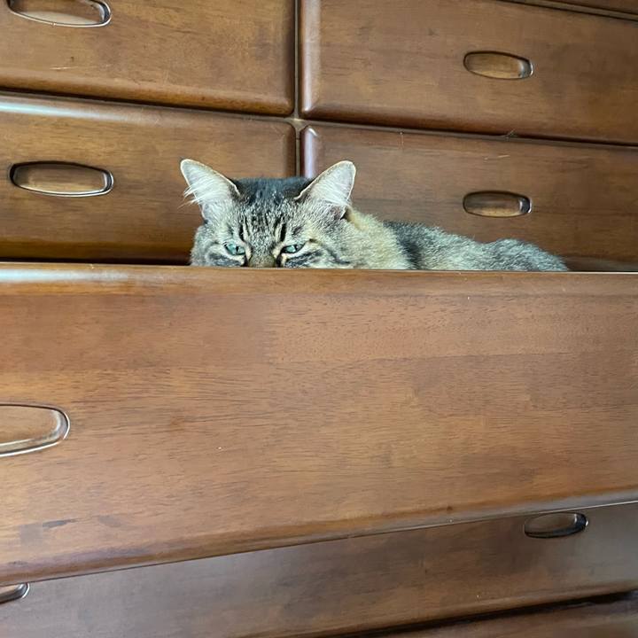 51b956fa 982b 4a38 96c0 6e48970ae6f6 1761275343789