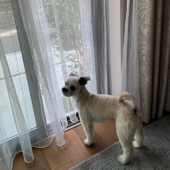 51b96661 b1e4 497b 8d56 9b227b5aaba0 1622468926498