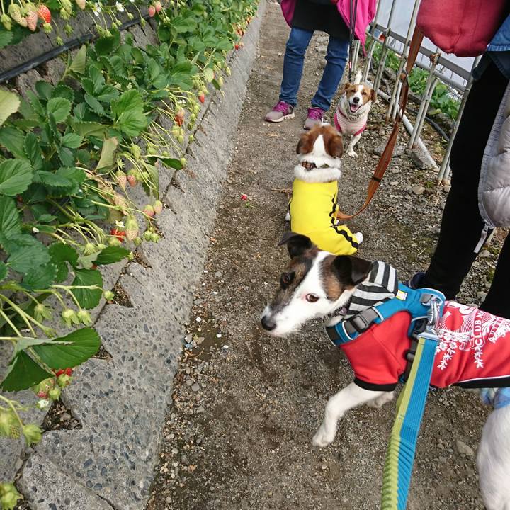 51b97a23 4702 4609 b3ef 074d7ddfd3db 1519535114875