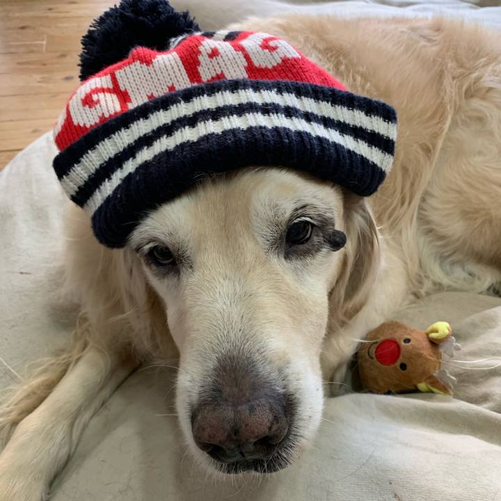 51b981e1 5566 415a 873f 079bc9b57e00 1579844352413