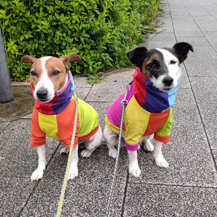 51b993c2 6e07 463e bb2c 11ef8d254201 1685318819675