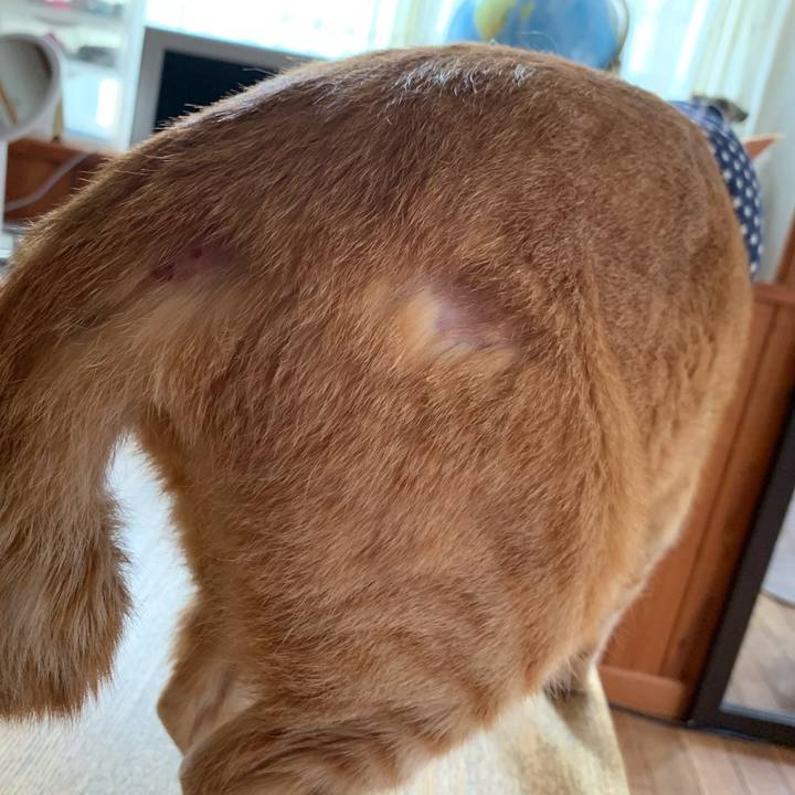 51b9a805 9665 4485 9612 33d8b733ce70 1620096792114