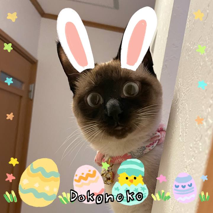 51b9d0dd ef45 4afe b86d 9a813895a650 1712778958208