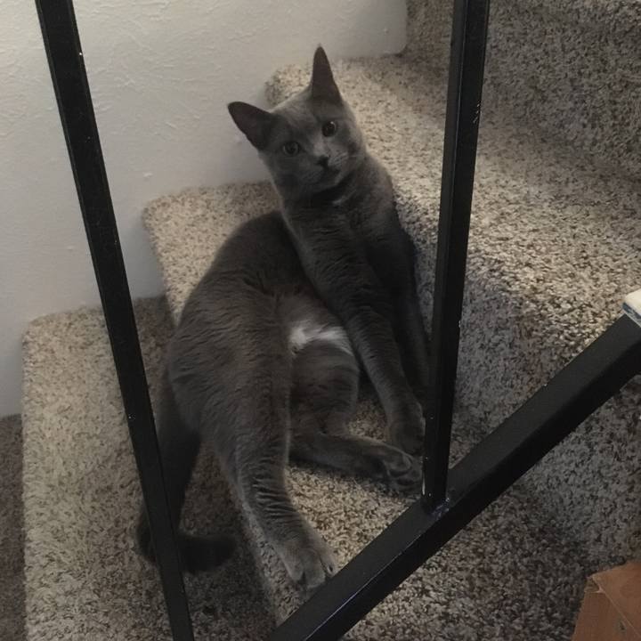 51b9f6a2 5a9d 447b a8ba 34426a9727f9 1633923560625