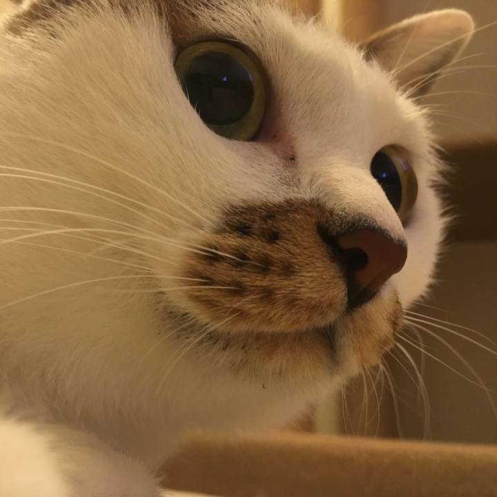 51ba57c5 4004 4d17 89a7 544af6de559e 1541248743718