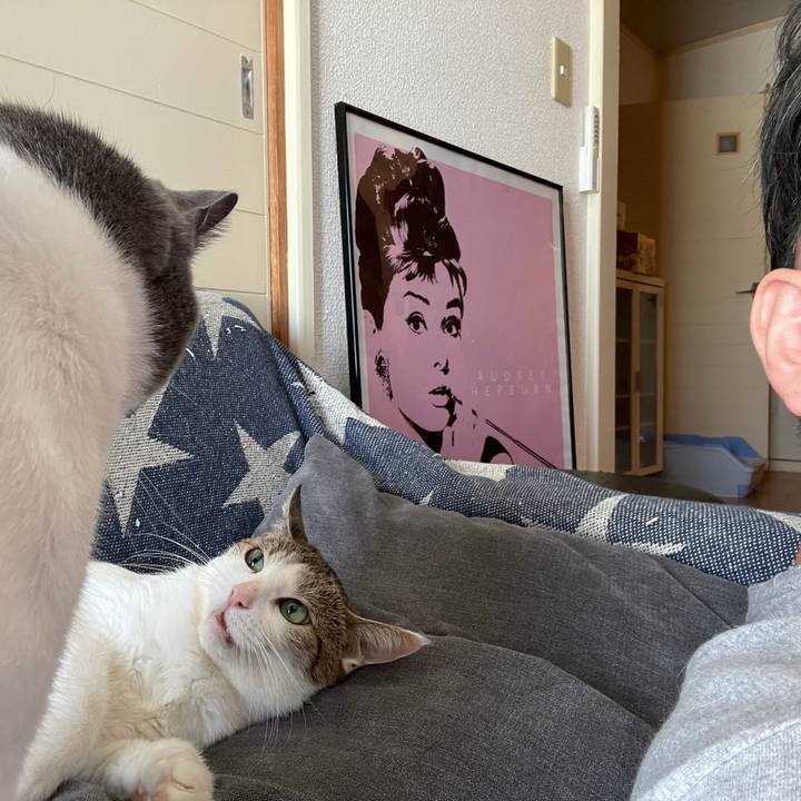 51baab8c 2853 4c4b a36a 58dcdb8ac2ba 1633143959751