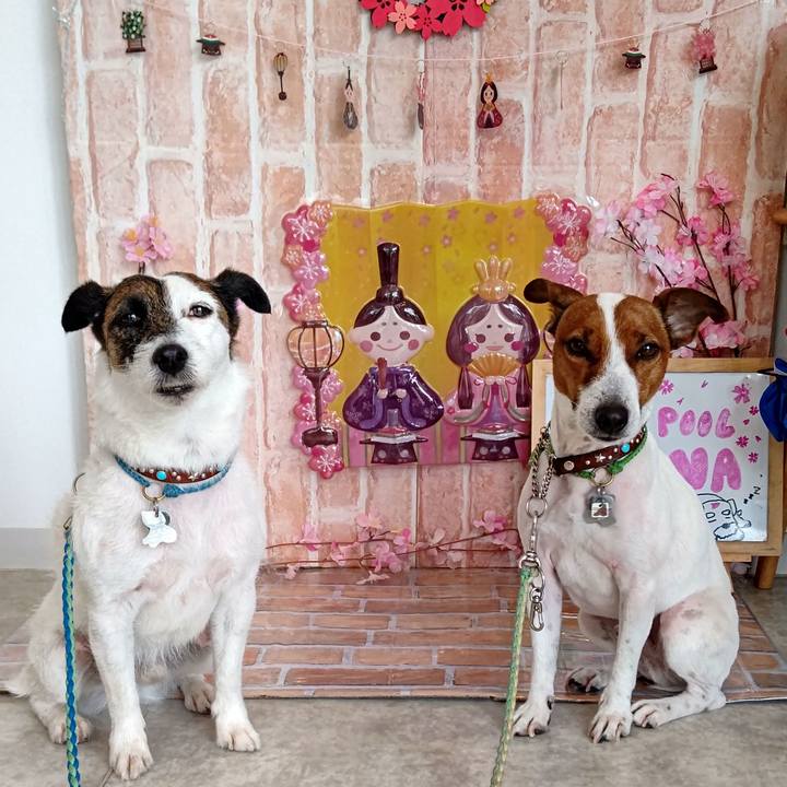 51bab0ba b7dc 4d6e 804c 658e68b8263f 1646296341431