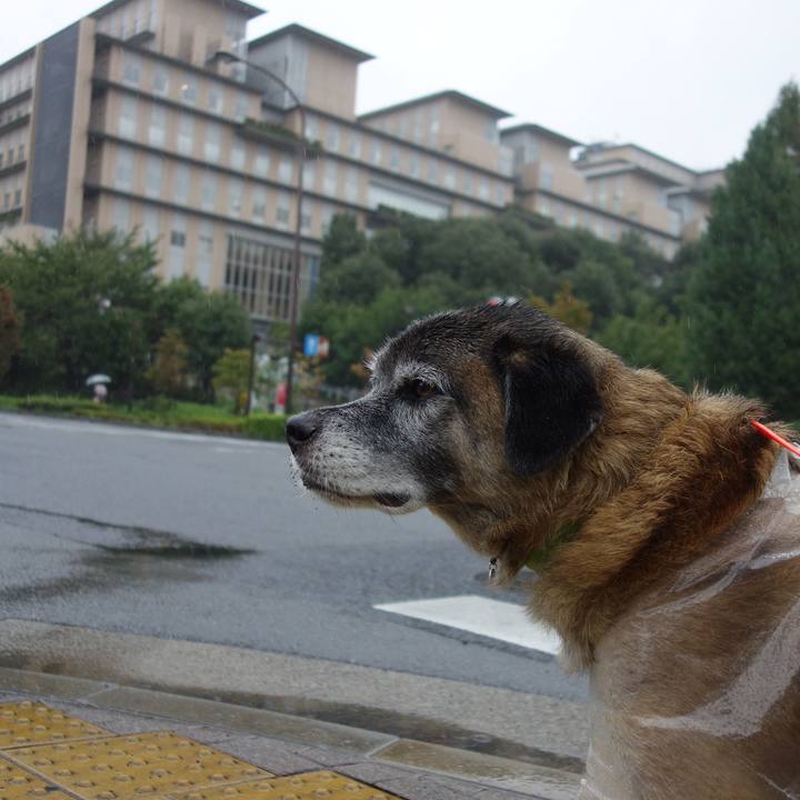 51bab793 9b8a 4e48 b6e1 f558244ed6d1 1537505100824