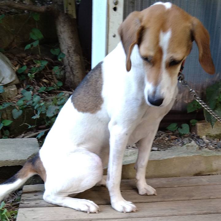 51babbd4 74a8 443d 9a2f 7e590de81cdc 1631962101676