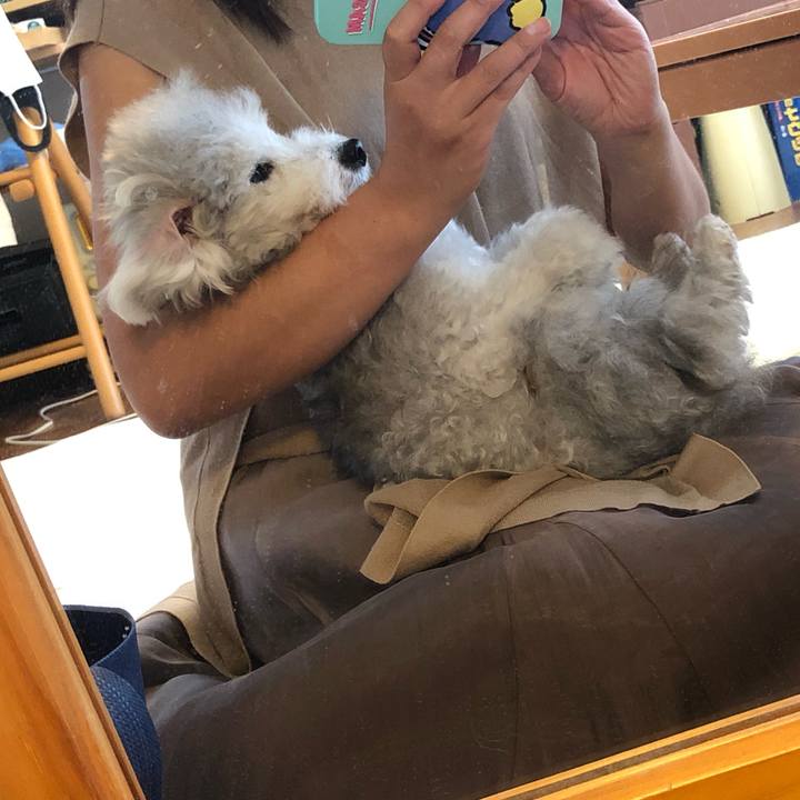 51babf30 e2ac 4d7c 9bcd 27f025e9f767 1630022372621