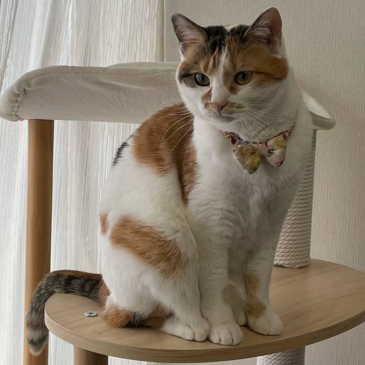 51bad650 9595 437f 86d7 044371cac81f 1647387064074