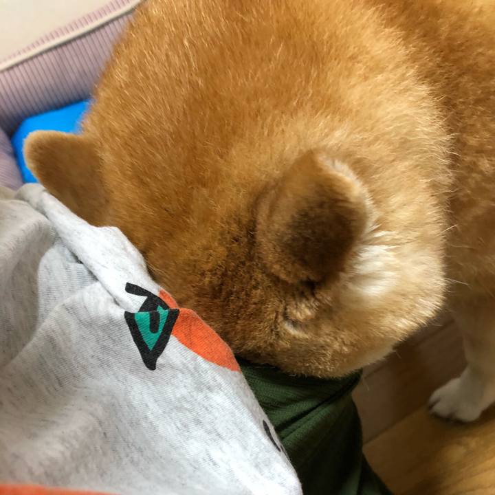 51badd05 de94 4c86 9662 680cba689945 1594083464476