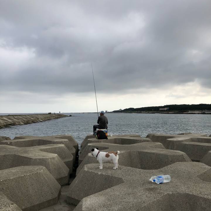 51bafae1 d5e2 449e bcfb 3082fd58a0de 1599261816244