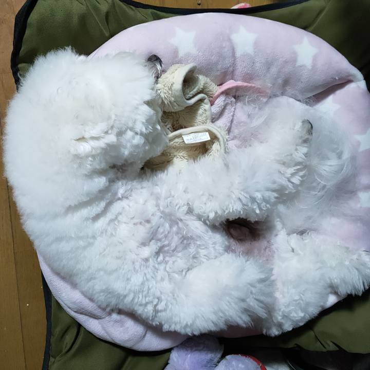 51bafbc0 c7df 4c00 8885 0d3ab574ff0f 1765287168279