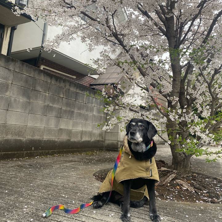 51bb2a6f 1789 47a0 b99c 4c5e18e6e672 1712303693943