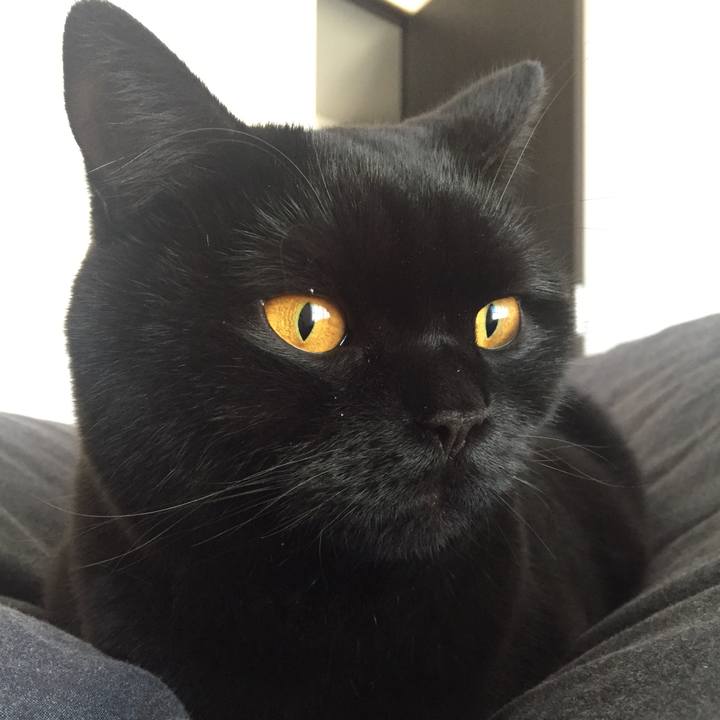 51bb909a cddc 4f66 8421 c27a307f9d3f 1548503214892