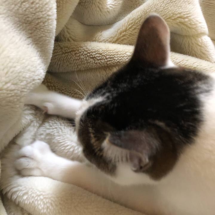 51bb9b9d 8324 47e8 8055 b1fef86657fd 1600034365833