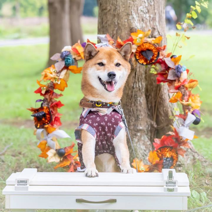 51bbdad5 5ab2 4dd1 ad89 6d7cb36127e5 1604630677701