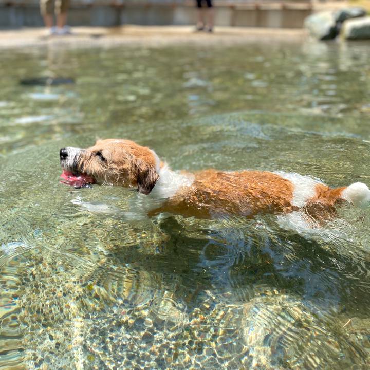 51bc32fe cb56 4696 851c 101bd8aab698 1596782419948