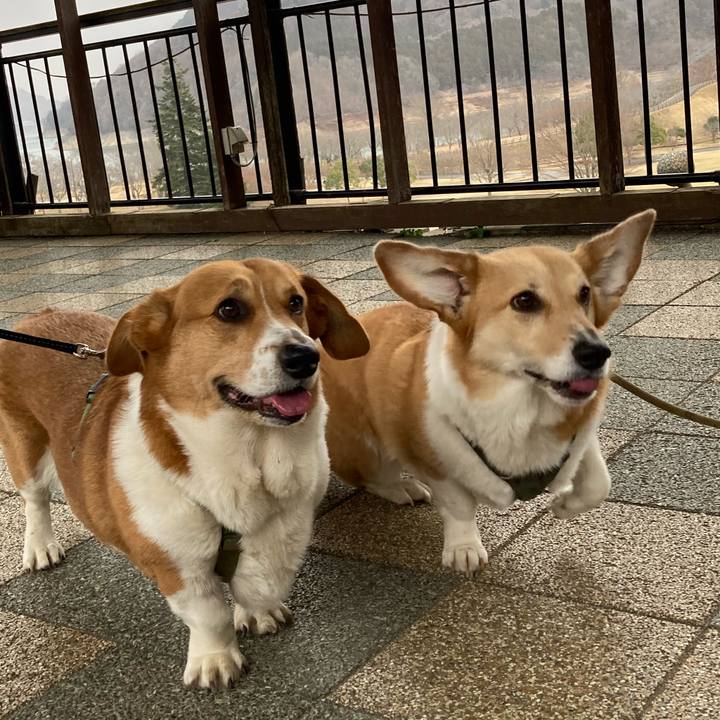 51bc3503 8b2b 4b1e b94b 6d440bef1747 1742095292212