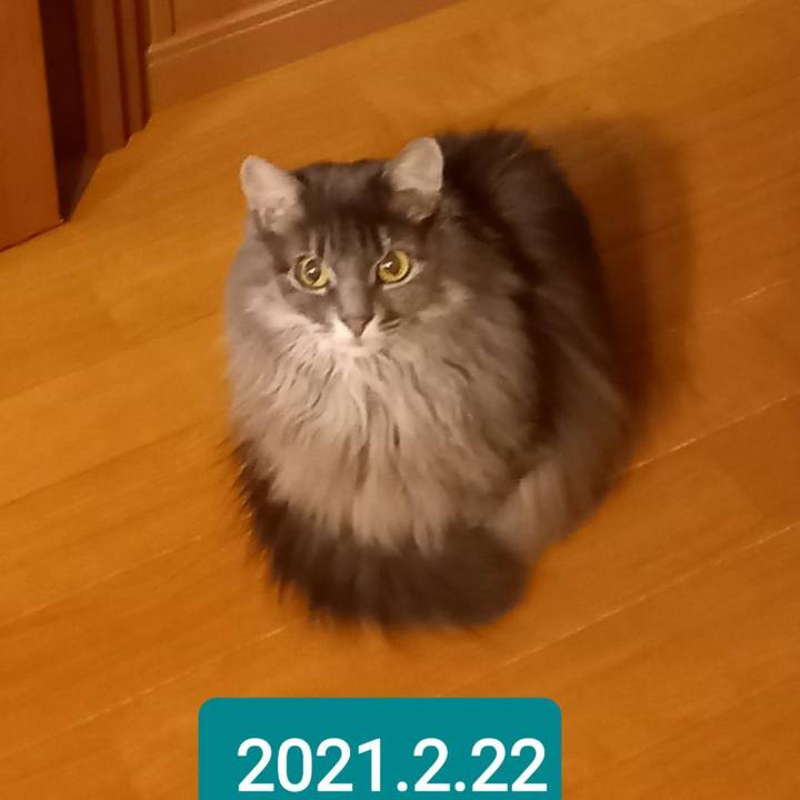 51bc36e9 01a9 421c 9f9b a014539873a0 1613942780295