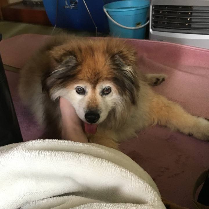 51bcc37d 4779 49dc a170 962de04d1816 1583370751361