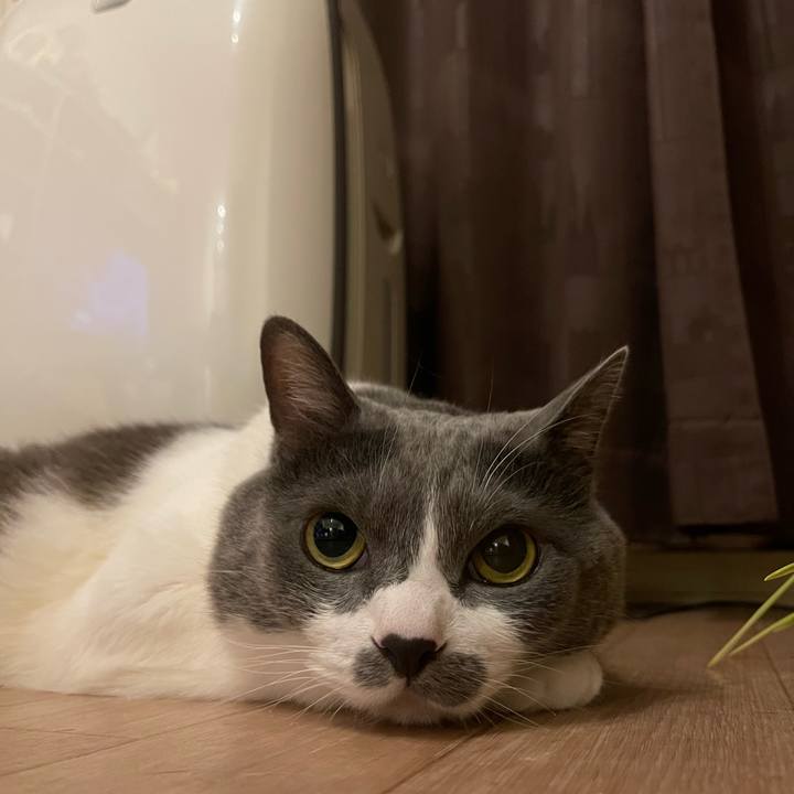 51bcd839 141d 4a07 b25a 9982416e0c9b 1757669644849