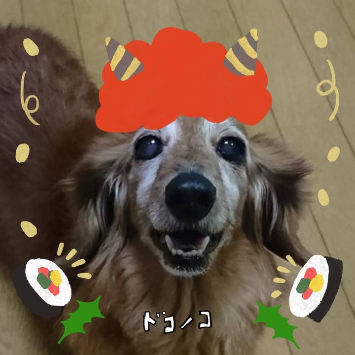 51bcd93f 4120 4745 a9aa 20726690da80 1706873905969