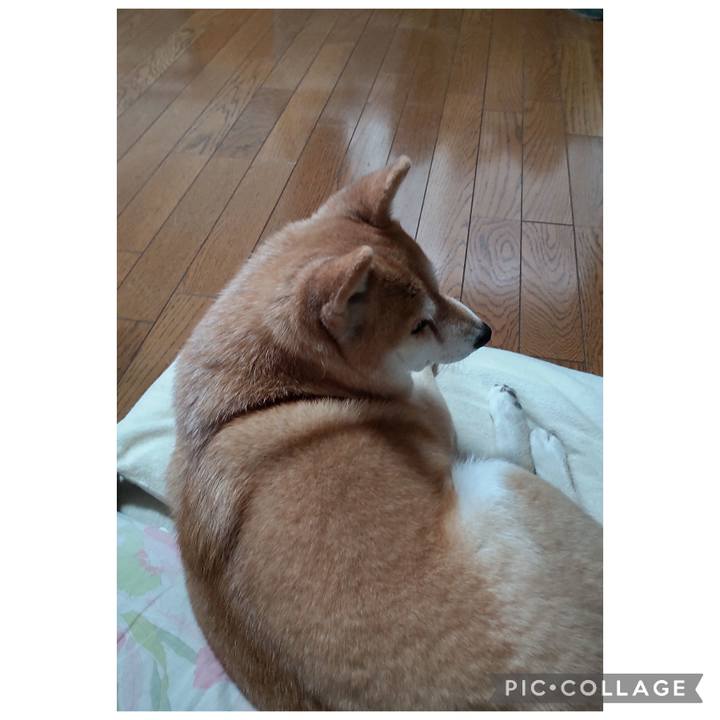 51bcdb83 c23f 42e6 ade2 2fcec6149130 1772614390300