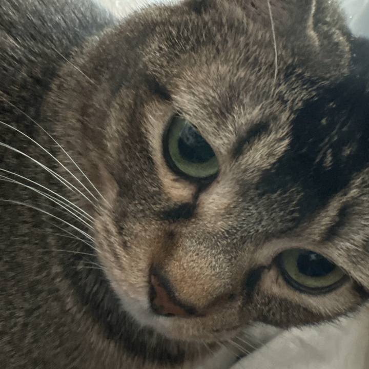 51bd1c6d b973 4faf 9dcf f5a196935b0f 1776057496787